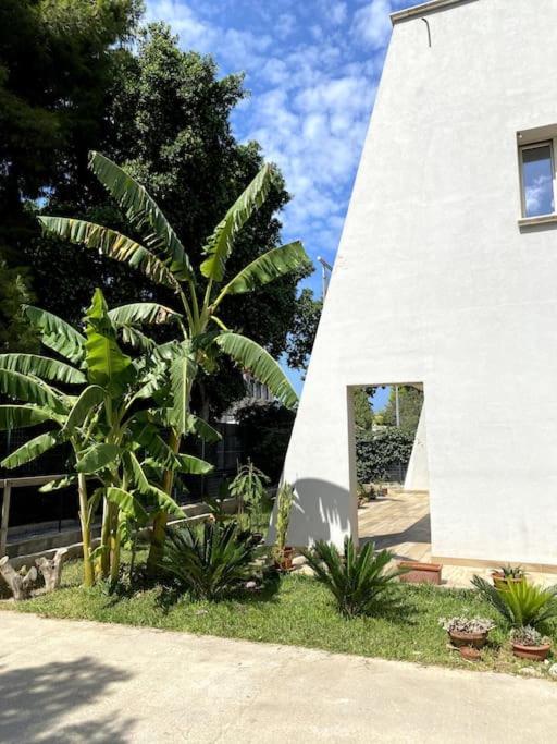 Casa Woow Lägenhet Carini Exteriör bild